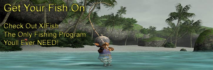 Final Fantasy XI Cheats FFXI Cheats Final Fantasy XI Exploits FFXI Guides Final Fantasy XI Macros Programs Final Fantasy XI FFXI Bots Final Fantasy XI Secrets Hints and Apps